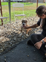 /album/28-08-20251/img-20250828-wa0045-jpg/