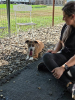 /album/28-08-20251/img-20250828-wa0046-jpg/