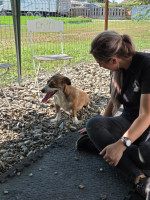 /album/28-08-20251/img-20250828-wa0047-jpg/