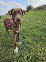 /album/28-09-20252/img-20250928-wa0011-jpg/