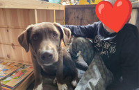 /album/28-09-20252/img-20250928-wa0012-jpg/