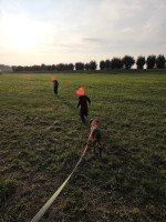 /album/28-09-20252/img-20250928-wa0013-jpg/