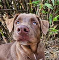 /album/28-09-20252/img-20250928-wa0010-jpg/