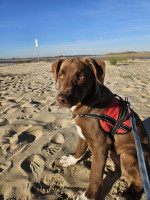 /album/28-09-20252/img-20250928-wa0007-jpg/