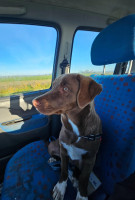 /album/28-09-20252/img-20250928-wa0008-jpg/