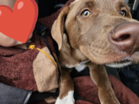 /album/28-09-20252/img-20250928-wa0009-jpg/