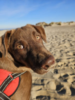 /album/28-09-20252/img-20250928-wa0006-jpg/