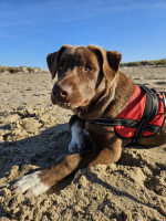 /album/28-09-20252/img-20250928-wa0005-jpg/