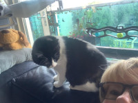 /album/29-09-2025/img-20250928-wa0017-jpg/