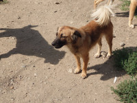 /album/september-20251/6b92c742-1662-48b9-8519-f511d722757e-jpeg/