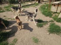 /album/september-20251/b7b668cd-ec52-407f-9340-9323b09df0af-jpeg/