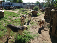 /album/augustus-20251/7a416ae7-9af5-414a-8ddd-35b21295074f-jpeg1/