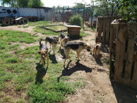 /album/augustus-20253/4314aeb0-f9b4-4173-94d5-d73cc736ce30-jpeg2/