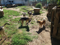 /album/augustus-20253/af507fbf-7517-4687-8279-e11b59e779e4-jpeg3/