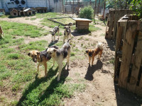 /album/augustus-20253/f1506653-08ef-4450-b12e-68af7218d5fc-jpeg3/