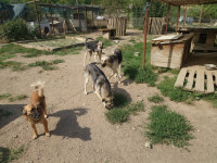 /album/augustus-20253/cc092a6f-b7a3-4bb6-a427-e0927298b5a3-jpeg3/