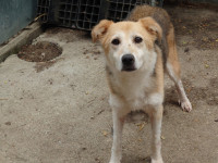 /album/03-08-20244/ac2bc4ae-feb7-4edc-8a35-a5910baf050b-jpeg/