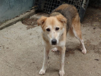 /album/03-08-20244/49478d42-dafc-4ef1-9fe8-2483851bf5d4-jpeg/