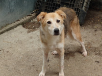 /album/03-08-20244/11b137f2-cf1e-4e91-8146-cc8e3c854732-jpeg/