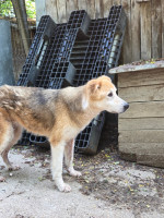 /album/06-06-2025/642766bf-44f1-4e6f-a3a9-4f08fdf081e2-jpeg/