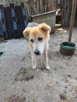 /album/06-06-2025/50cf1b08-934e-4934-9b22-13b1d55fdead-jpeg/