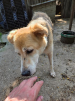 /album/06-06-2025/7e61af96-446a-4b7a-9983-1e868bfe62ec-jpeg/