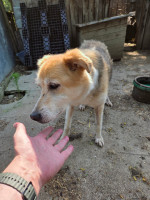 /album/06-06-2025/7c3072aa-c969-4183-9984-0ab19e9b1099-jpeg/