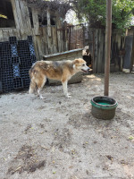 /album/06-06-2025/6ad012fa-f817-45d8-9dff-c2212e5af080-jpeg/