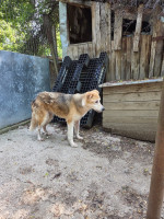 /album/06-06-2025/f51cc307-8052-4349-a7ad-4b1af6da5879-jpeg/