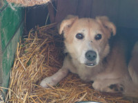 /album/20-11-20244/3f0b77e1-674c-485d-b296-1311e907ca1d-jpeg/