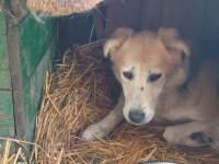 /album/20-11-20244/39347851-cdda-4120-837e-2eb75e36a380-jpeg/