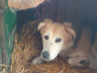 /album/20-11-20244/09140334-522c-43bf-8f7b-e85826db4ef4-jpeg/