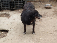 /album/03-08-20246/b9a18339-17ae-4b2e-9da5-51df2349084e-jpeg/