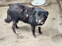 /album/03-08-20246/4f01eb57-9493-4f40-b54c-ff13594f9140-jpeg/