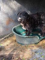 /album/06-06-20251/568b0bba-ee4d-4e5b-8a27-0f69c952563d-jpeg/