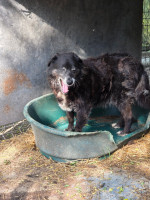 /album/06-06-20251/d5c8d6c9-1bac-441e-aff6-ce7254b4a674-jpeg/