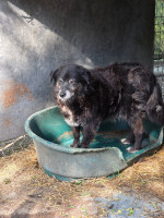 /album/06-06-20251/f10c0a74-2842-4acc-8aa1-7c6dc4506875-jpeg/