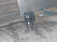 /album/20-11-20245/54fb0b49-1a6d-4ca8-a9f1-286898d893d2-jpeg/