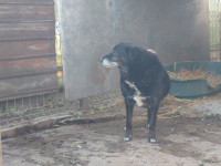 /album/20-11-20245/ce636c40-eb0b-4c91-9511-3a9c66ec176f-jpeg/