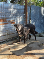 /album/27-08-20256/0f43a78b-5be0-41d7-87ce-bb1e7837531e-jpeg/