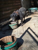 /album/27-08-20256/45263564-356e-4007-a717-4b4beaa20ee5-jpeg/