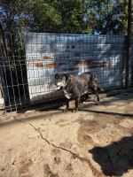 /album/27-08-20256/0b0e9903-355f-462e-8937-ede1aef3ba70-jpeg/