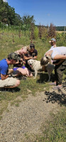 /album/141/540674300-1171839658323341-6316605507150446905-n-jpg/