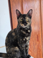 /album/13-10-2025/20250825-140510-jpg/