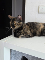 /album/13-10-2025/20250825-140113-jpg/