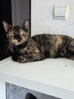 /album/13-10-2025/20250825-140110-jpg/