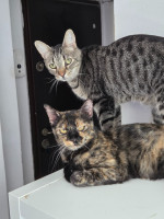 /album/13-10-2025/20250825-140106-jpg/