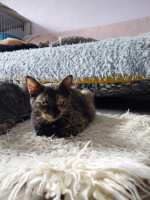 /album/13-10-2025/dacc3a89-2ec8-48b4-950b-f5952c985da1-jpeg/