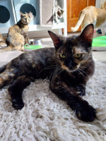 /album/13-10-2025/01fb4f9d-b8ab-4963-9850-51f202fef446-jpeg/