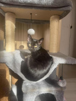 /album/21-10-2025/38c8f01c-2a29-41eb-a37e-02e52fd351d6-jpeg/